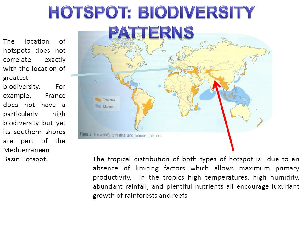 Explore the Biodiversity Hotspots